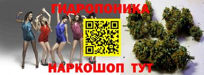 кристаллы Лесосибирск
